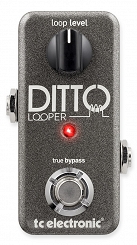 TC Electronic Ditto Looper Efekt do gitary lub basu